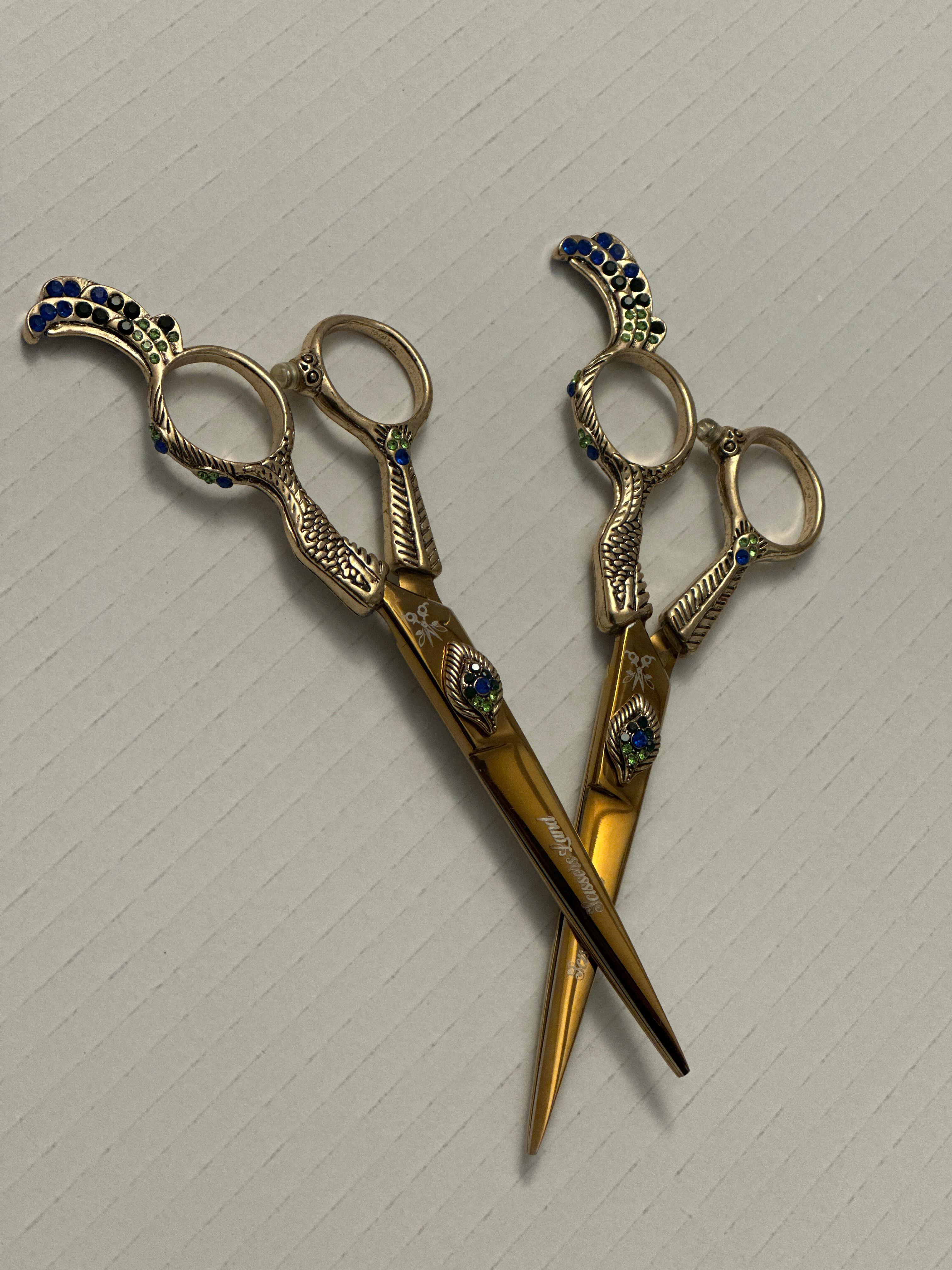 Fancy Scissors